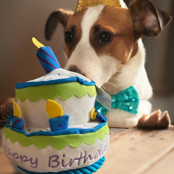 Large BarkShop Party Animal Dog Birthday Cake Toy - NWT